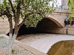 -元大都城垣遗址公园