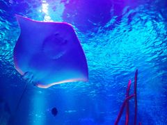 -沈阳海洋探索中心