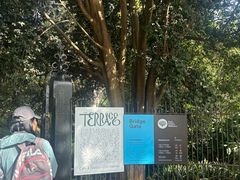 -墨尔本皇家植物园