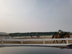 -月河湾马术俱乐部(朝阳店)