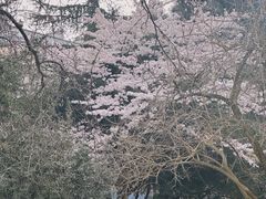 -卢森堡公园