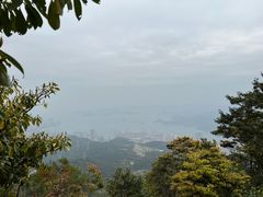 -梧桐山风景名胜区