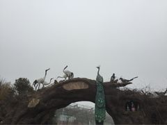 石老人观光园-石老人观光园
