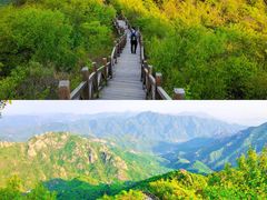 -大岭沟猕猴桃谷风景区