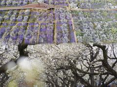 -江苏三台山国家森林公园