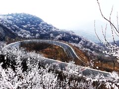 -定都峰