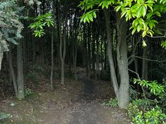 -大罗山风景区