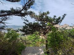 -崂山巨峰游览区