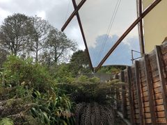 -怀托摩萤火虫洞