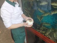 -肆月河豚·新淮扬(金融街店)