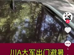 -约翰·菲茨杰拉德·肯尼迪国际机场