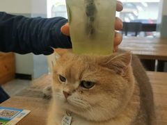 -韩国利尔面包(桂林路店)