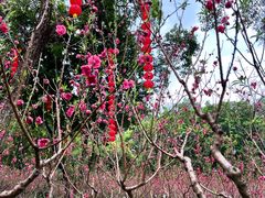 -桃花涧
