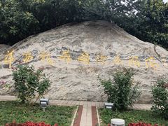 -华西村