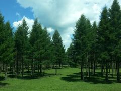 android_upload_pic-木兰围场