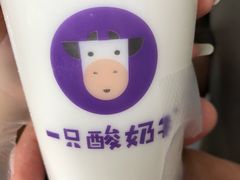 -一只酸奶牛(八一路店)