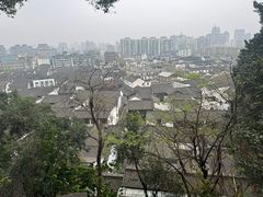 -大马弄蒋师傅美食酥鱼(察院前店)