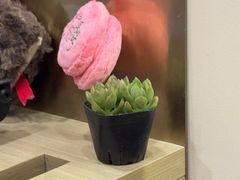 -海马体照相馆(上海宝山万达广场店)