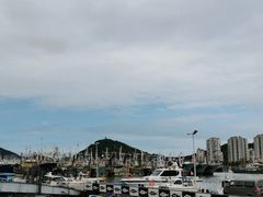-沈家门渔港