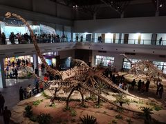 -自贡恐龙博物馆