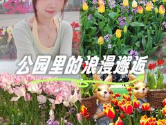 -荷兰花海