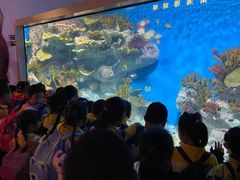 -福州罗源湾海洋世界旅游区