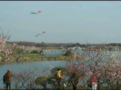 android_upload_pic-上海海湾国家森林公园