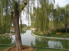 -燕郊植物园