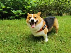 -杭州半山国家森林公园