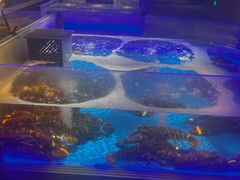 -同庆楼(华强吾悦广场店)