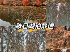 -南京金陵饭店