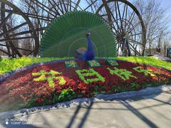 -呀路古热带植物园