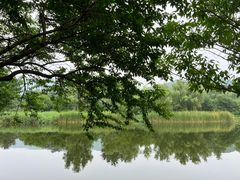 -国家植物园