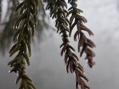 -庐山风景名胜区