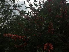 -铁炉农家菜馆