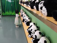 -沈阳森林动物园