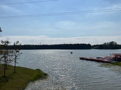 -上海海湾国家森林公园