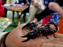 -藦茜花园宠物主题亲子互动体验馆(国顺东路店)