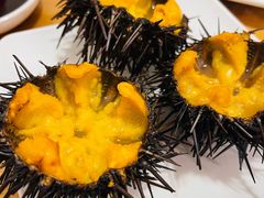 -海胆小馆(东北水饺·春柳店)