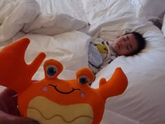 -味餐厅·海鲜·火锅·自助餐