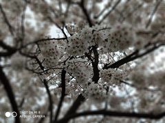 -苏州河梦清园环保主题公园