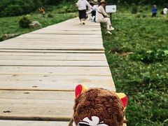 -白草畔自然风景区