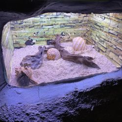 -Zoolung Zoolung动物主题公园(海信广场店)