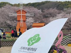 -苏州上方山国家森林公园