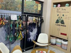 -瑞派名望24h动物医院异宠专科·猫专科·骨科·重症监护分院