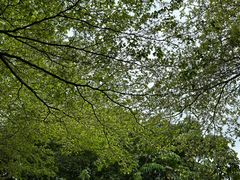 -东莞塘厦三正半山温泉酒店·汉宫中餐厅
