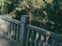-大屏嶂森林公园