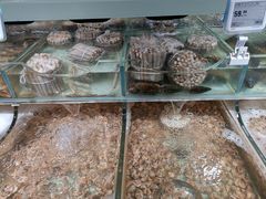 -盒马鲜生(岭南新世界店)