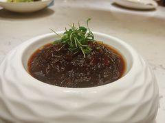 -春茗熙