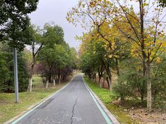 -合肥野生动物园